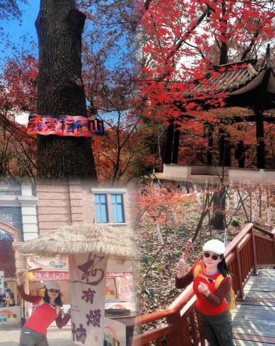 南京栖霞山赏枫徒步最全指南🍁抓住秋天得尾巴，来南京栖霞山徒步赏枫叶🍁南京