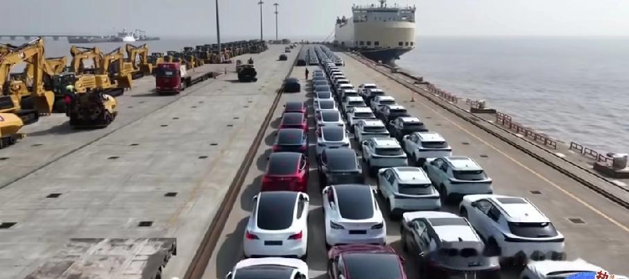 加拿大这回笑到合不拢嘴，总算靠油菜籽谈成了和中国的贸易双赢，网传600万吨菜籽换