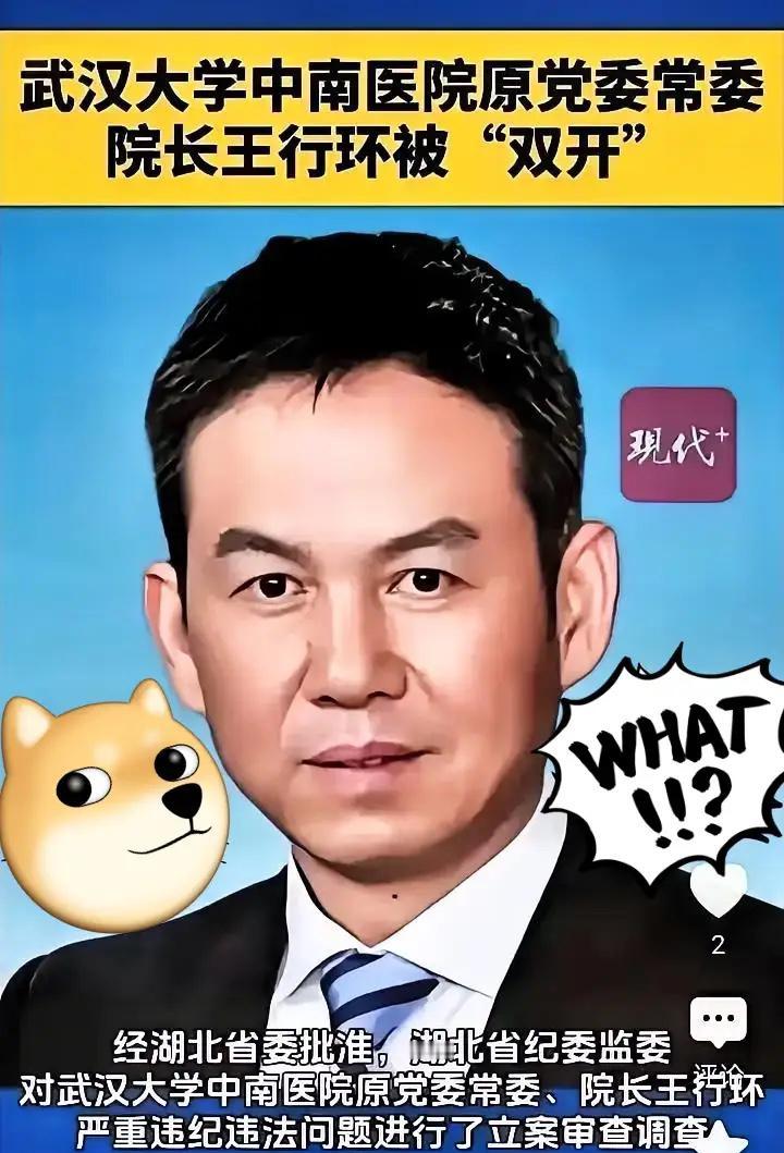 中南医院王行环院长落马了，这个院长给影响最大的不是医院，是医院女医生、女护士的老