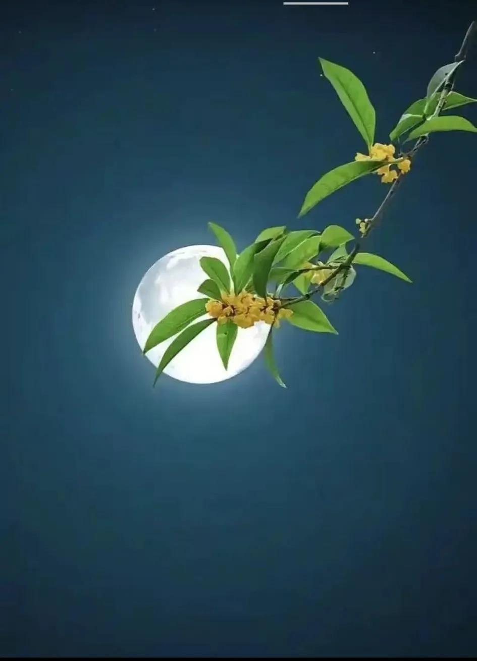 单位一个科长，在未提拔到本单位以前，是一个副县长的跟班人员。他在跟随副县长开展工