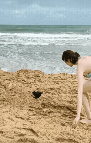 女子穿着泳衣在海滩上晒日光浴，发现沙子里有一片黑乎乎的东西，扯了几下没有扯出来，