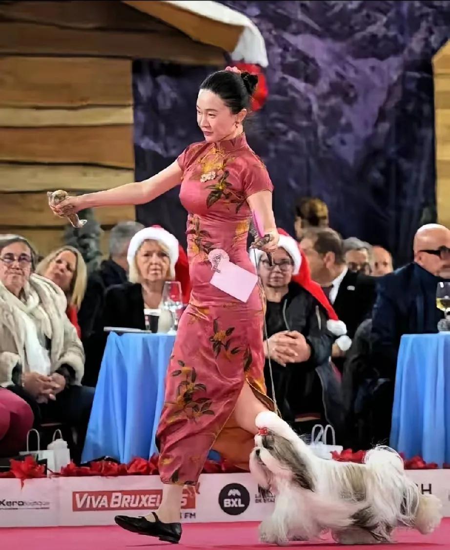 家人们谁懂啊！霍思燕也太飒了吧！这次她亲自下场担任牵犬师，带着自家小狗参加比赛，