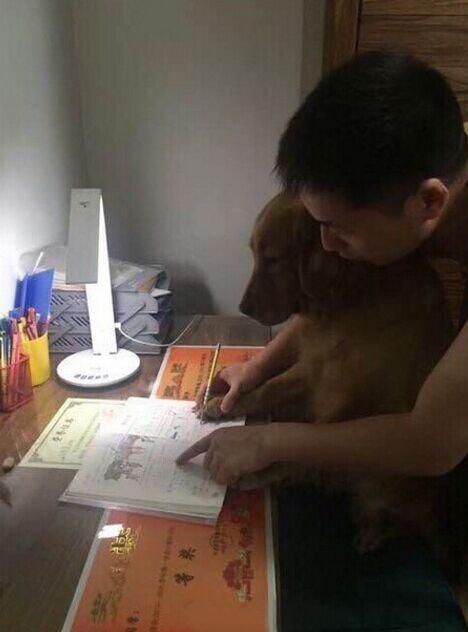 我的神经病主人