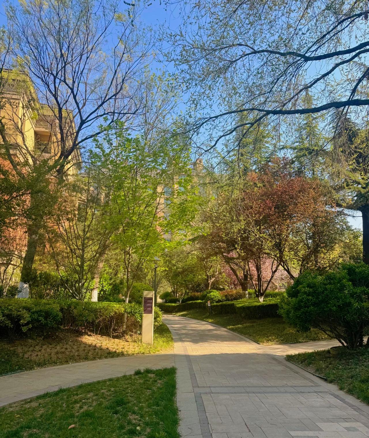 没有长袖善舞的本领，没有翻手为云覆手雨的手段，不如冷漠寡淡生活是自己的