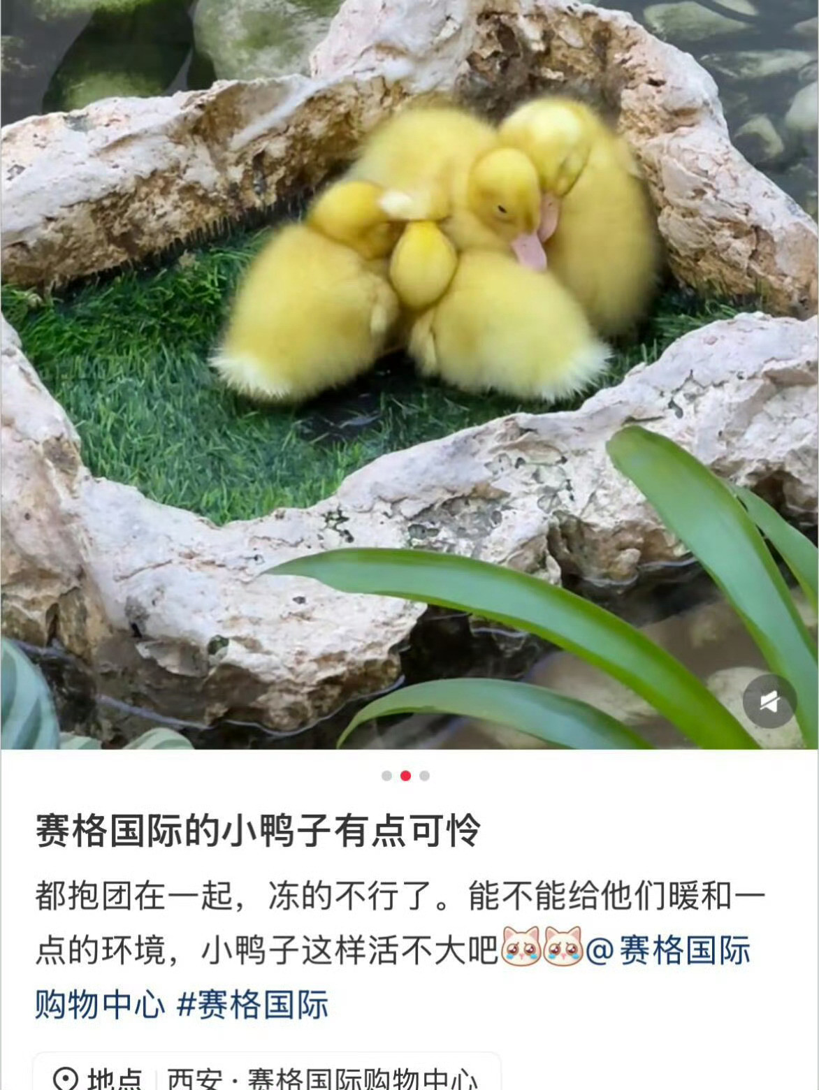 西安赛格4年前为帮顾客省钱，其店员进行了“拆卷”操作（将一个货单拆分成多个，以使