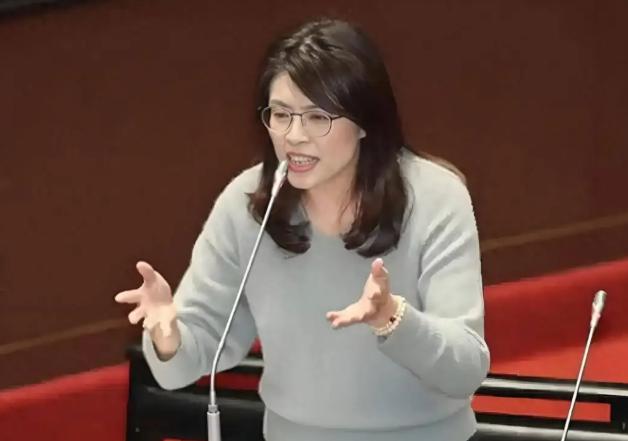 台湾蓝营终于和大陆观点一致了，不接受一国两制！台湾国民党主席郑丽文在接受专访