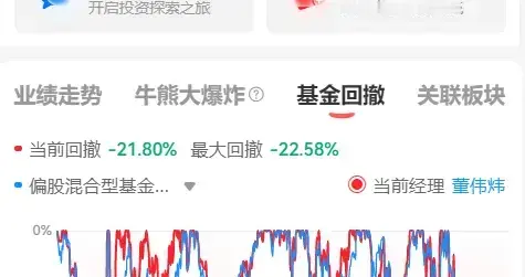 董伟炜基金出现任职以来最大回撤