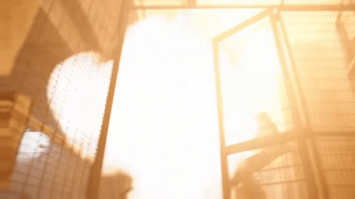 新闻女王2节奏哇，《新闻女王2》的节奏把控太牛了，不拖沓不注水，每一分钟都像在