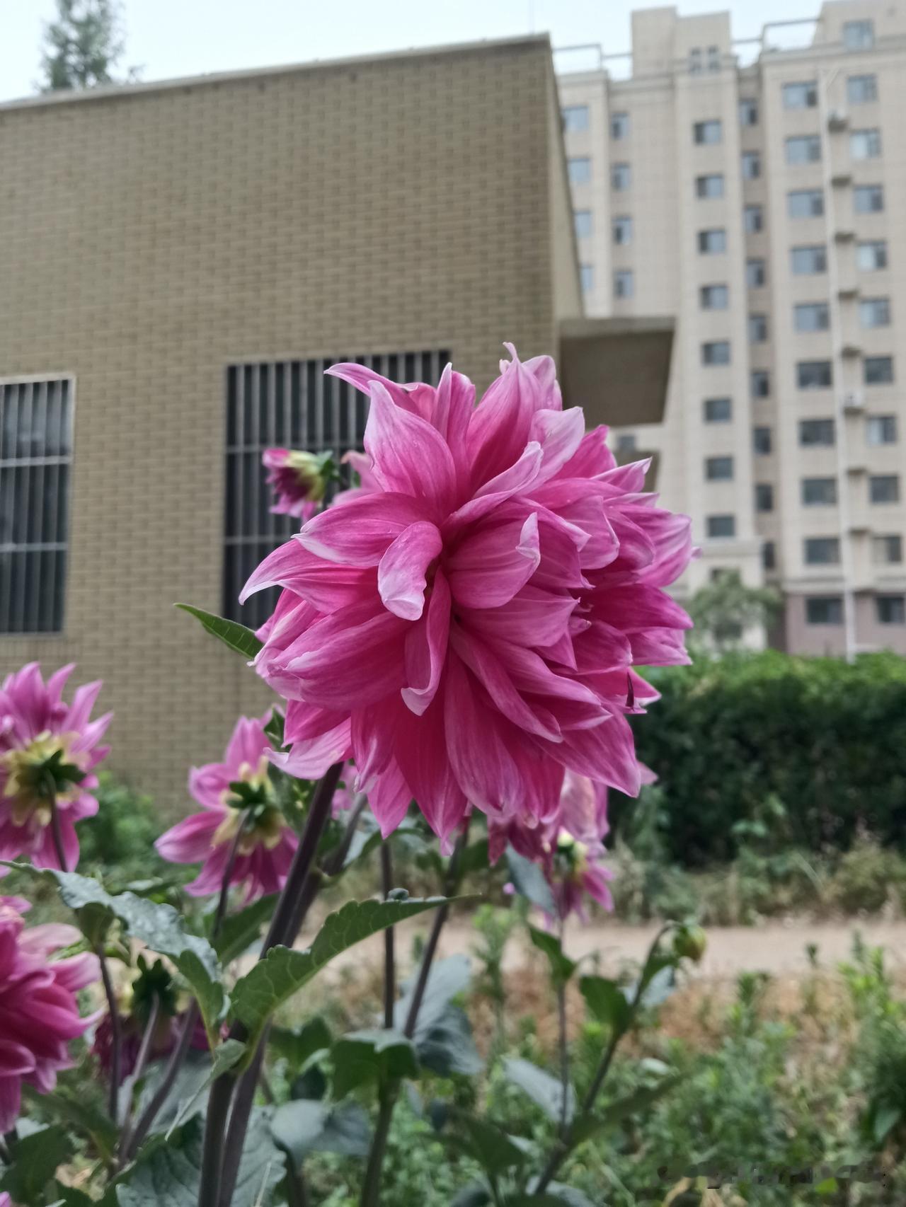 一、十样尽量不吃1、少吃动物内脏2、戒掉高糖糕点饼干3、不吃隔夜饭菜4、