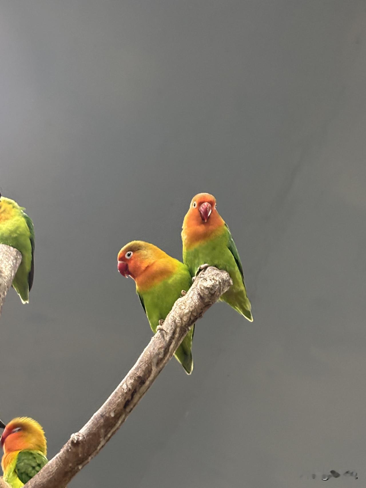 这就是人情世故​1.去亲戚家做客，对方客气说“别买东西，人来就好”。​​​