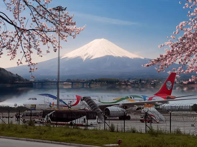 中日航线大震荡！12条航线全停飞，赴日航班取消率将创新高家人们，近期打算前往日