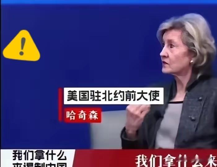我们对付中国，不是去和它打仗！​美国驻北约前大使说：中国有庞大的陆军、海军和空