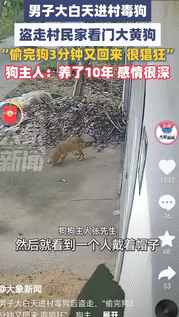 9月19日山东济宁，男子回家发现养了10年的大黄狗不见了，查看监控才看到，一个陌