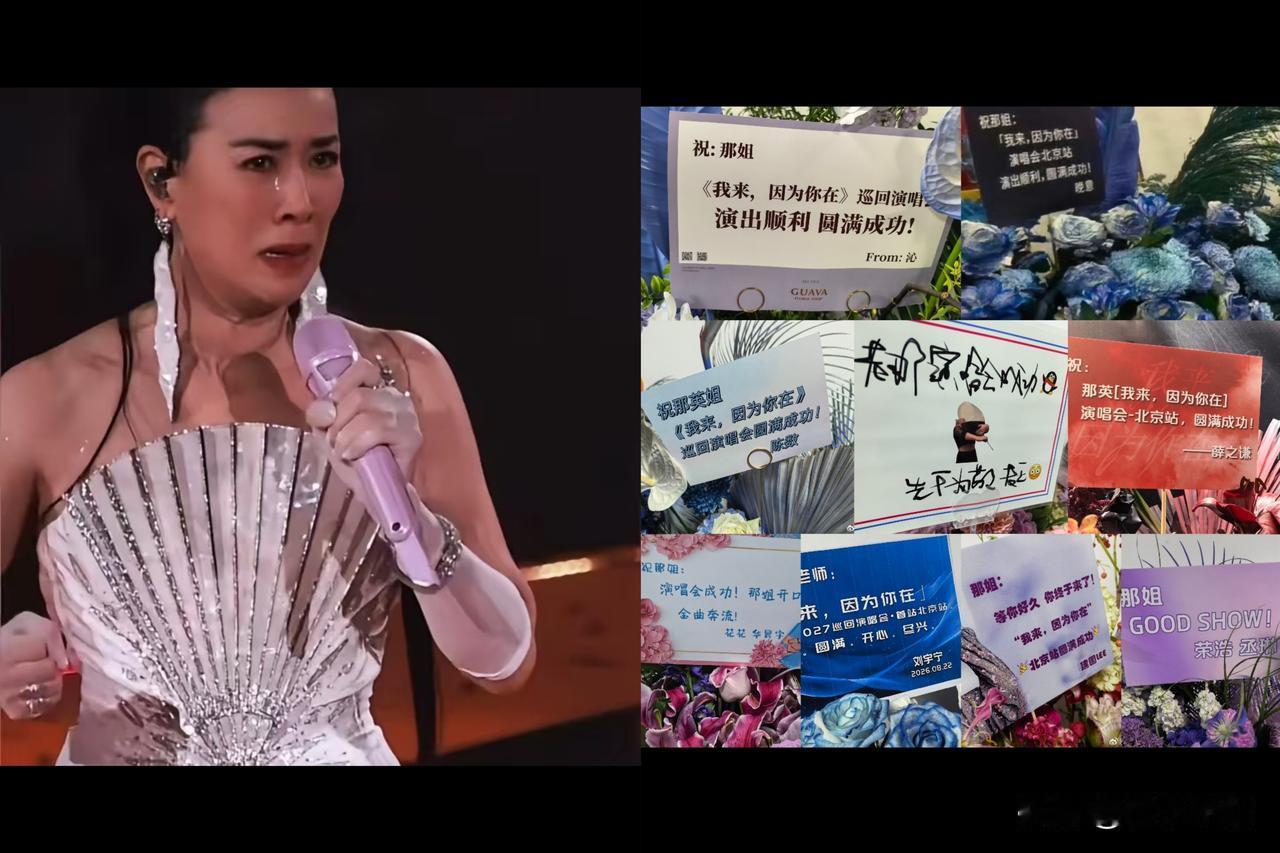 那英这演唱会，看明白了吗？我一开始以为是圈钱，看完发现不对。8月22号北京这