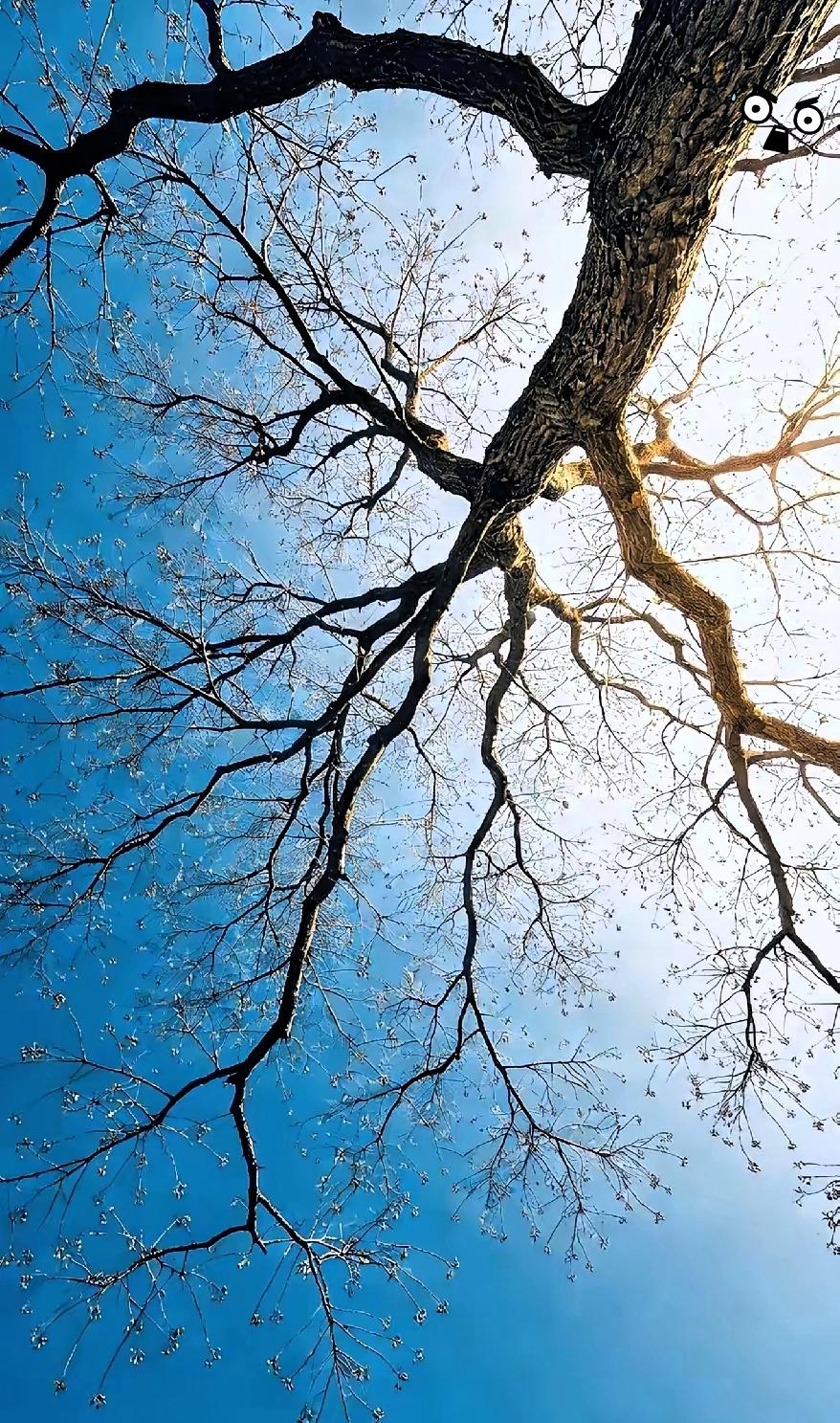 科学的尽头是玄学，朋友一直都不信算卦，他老婆丢了钥匙，找人算了一次就信了。