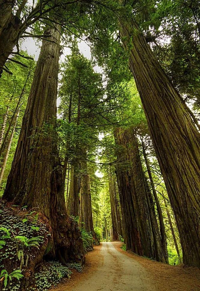 我是在1994年毕业参加工作的，那时候还是包分配的。毕业后，按照专业，我被分配