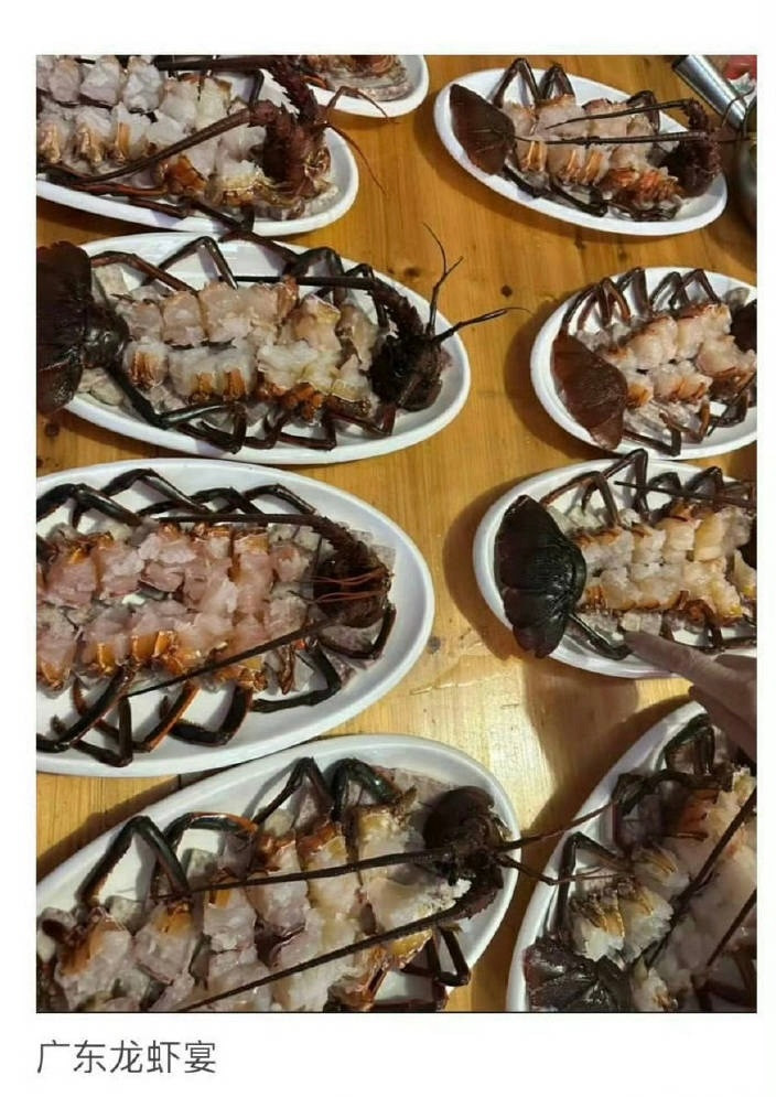 广东特产满满的蛋白质