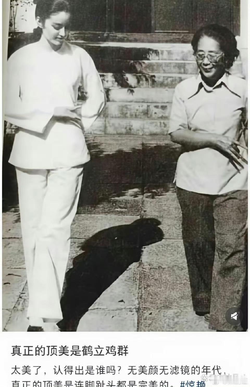 果然顶级美女的美是老照片都挡不住的。​