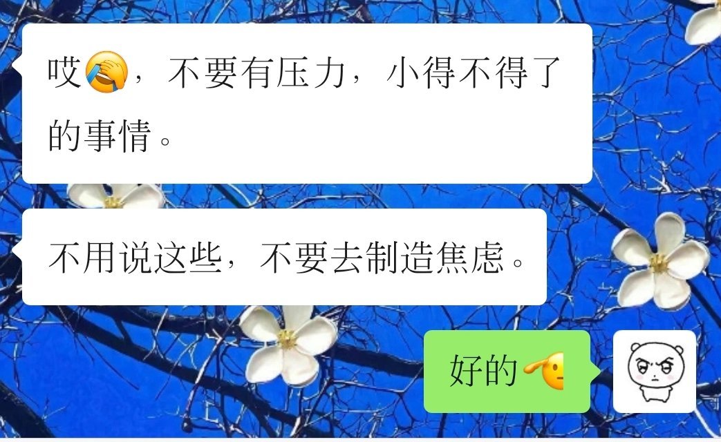 我们校长才是真的在养死士我会在这个学校干到这个校长不干了为止他太可靠了太能干了