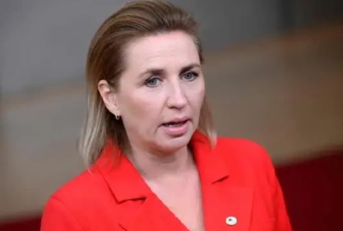 丹麦女首相突然辞职！丹麦政坛突发大事，3月25日，首相弗雷泽里克森正式向丹麦国王