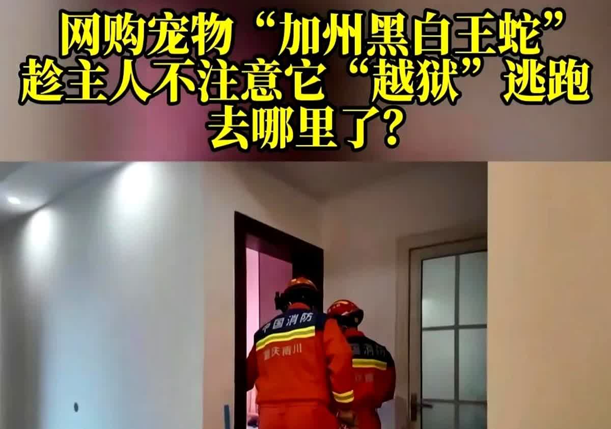 你最怕的邻居，可能就在你隔壁。他们偷偷养的宠物，能让你彻夜难眠。