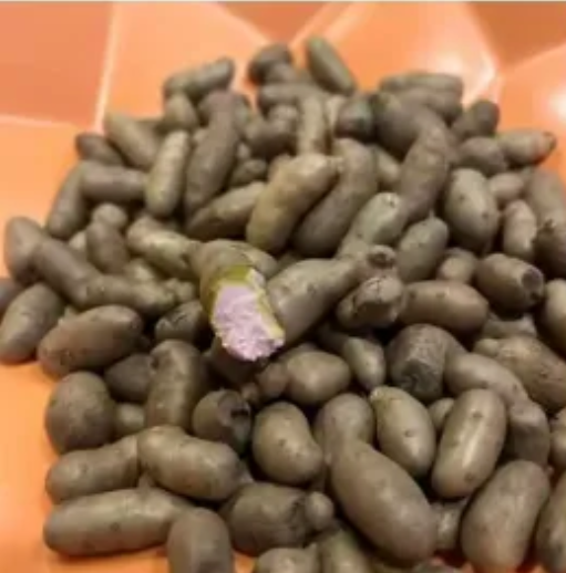 天哪！这是哪里的美食，老公下班买回来的，说是七块钱一斤