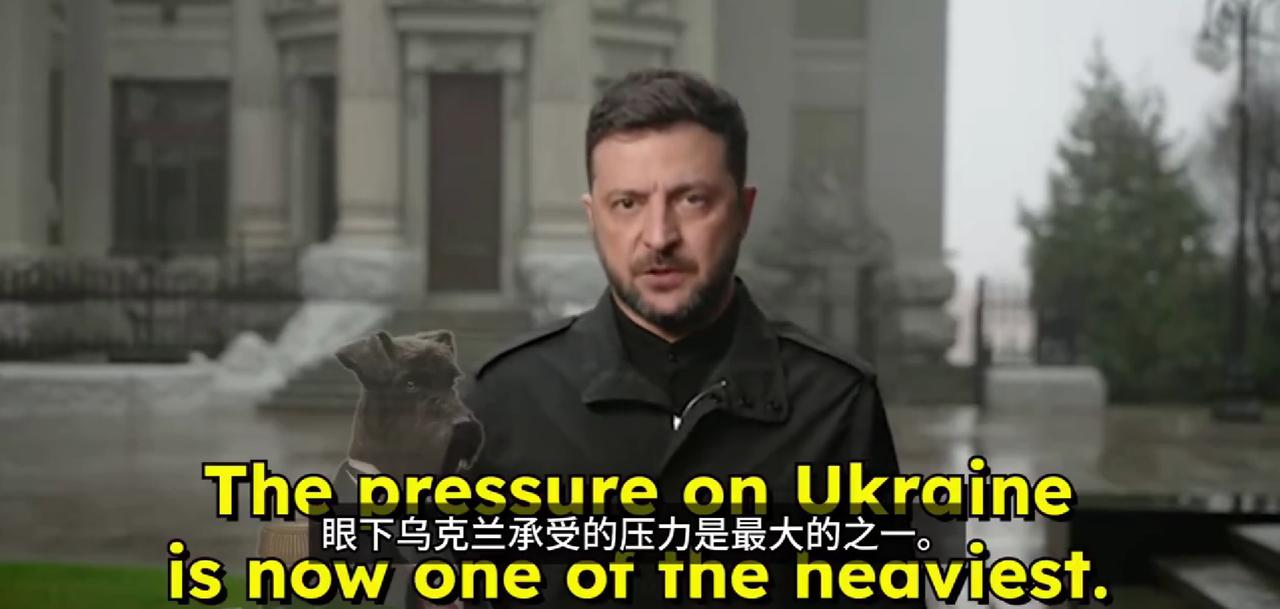 对于美国总统特朗普再度施压，当地时间2025年11月21日，乌克兰总统泽连斯基发