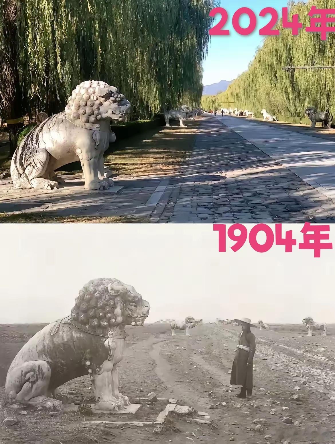 晚清，为啥山上到处都光秃秃的？[并不简单]​​​
