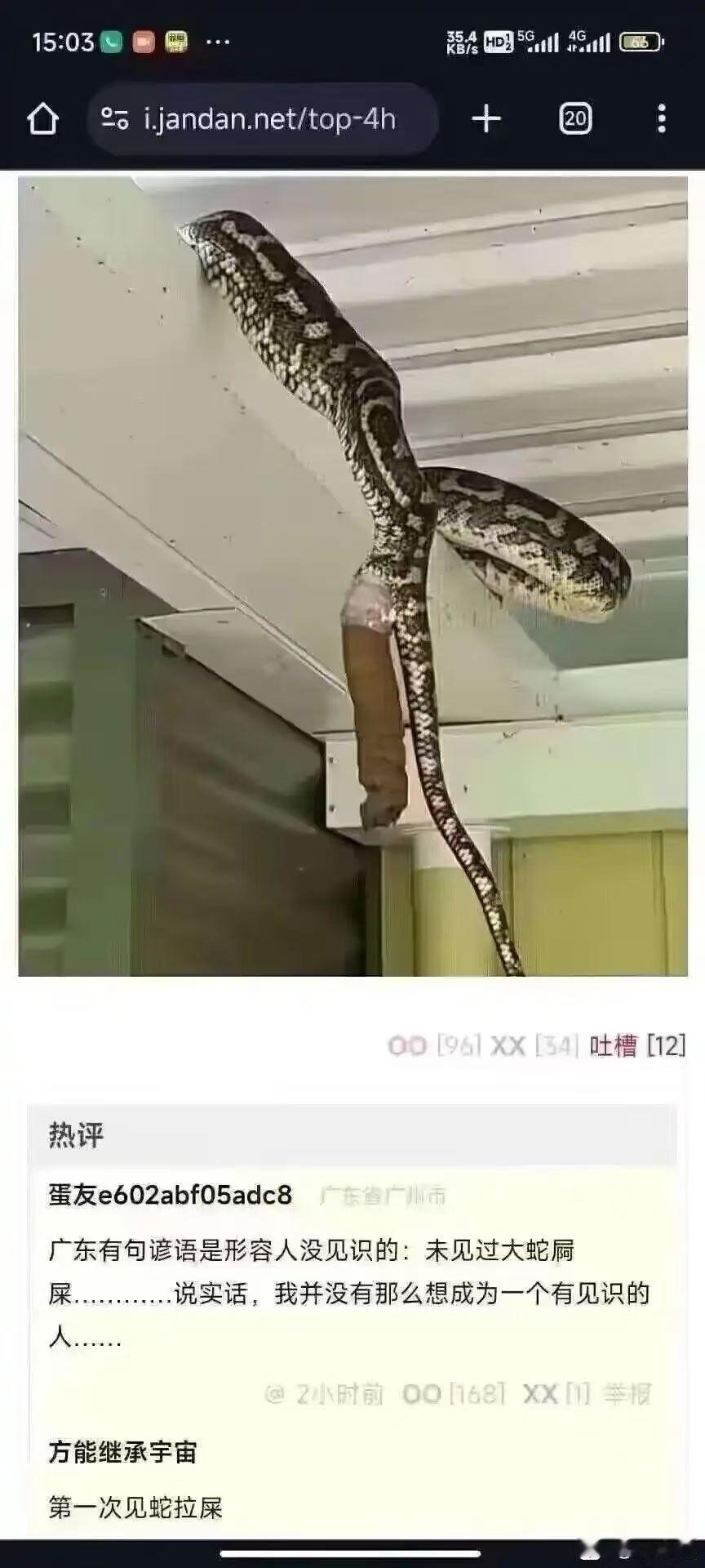 午饭之前提醒大家，蛇也会排便。方脑壳今天坐着省际大巴穿行在横断山脉中，中途至少四
