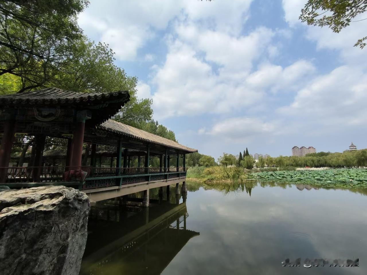 游览北宁公园北宁公园，在每个天津人心里，都有着美好的记忆！这次从老门进入公园