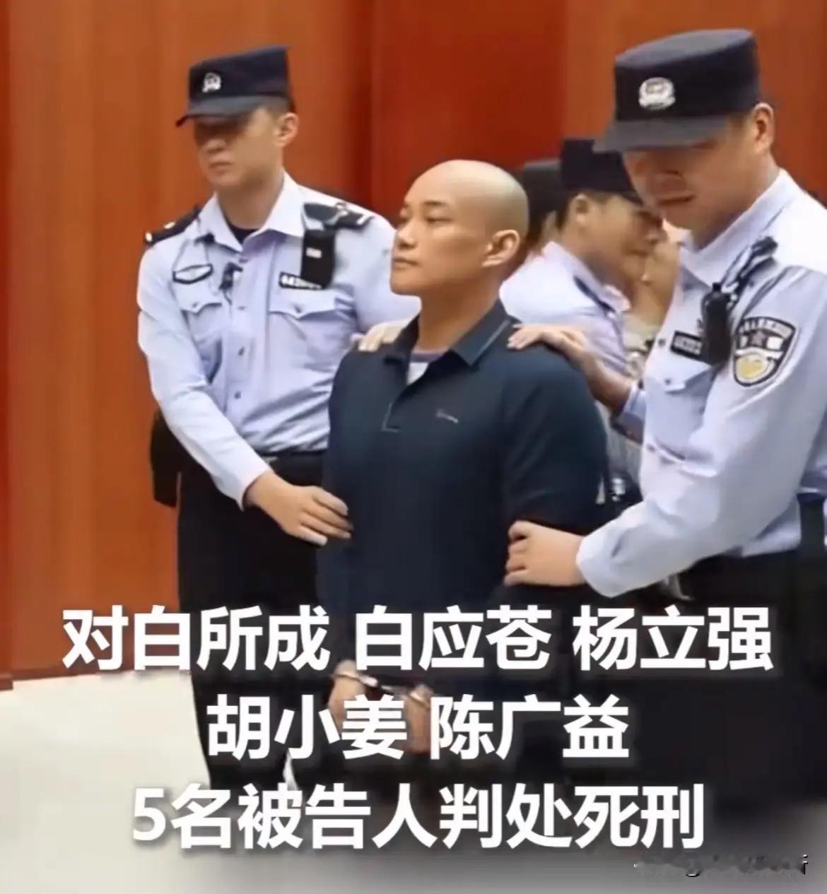 在听到对自己宣判死刑前，白应苍依旧面不改色，丝毫不见半分悔意。他虽被法警