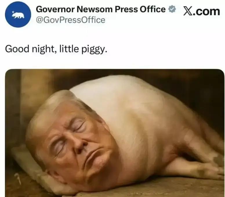 快讯！快讯！加州州长纽森突然在X上发图，把特朗普P成一头猪，台词也不客气。