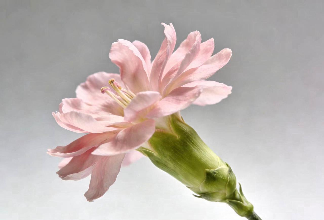 一位睡眠专家说了句大实话：你发现没有，那些倒头就睡的人，都缺一样东西。