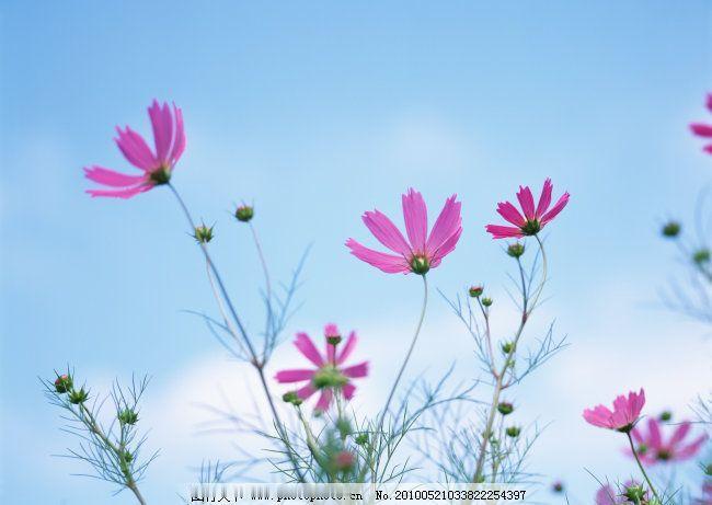 刚刚我办了一件大事。我把我的公积金全部转给闺女了！这笔钱我一月份就支出来了，连本