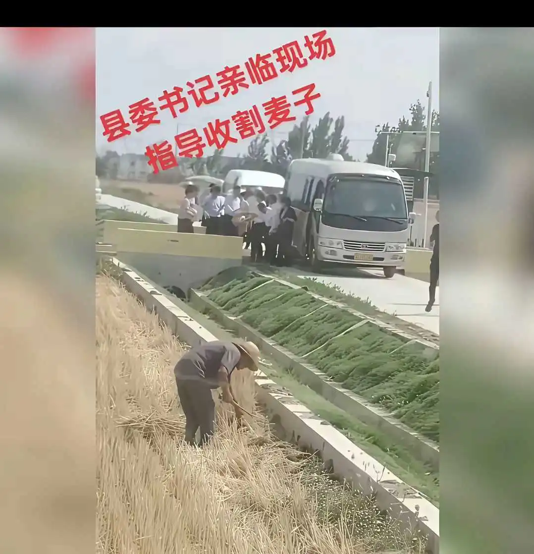 看到这幅图片，大家想说点什么？