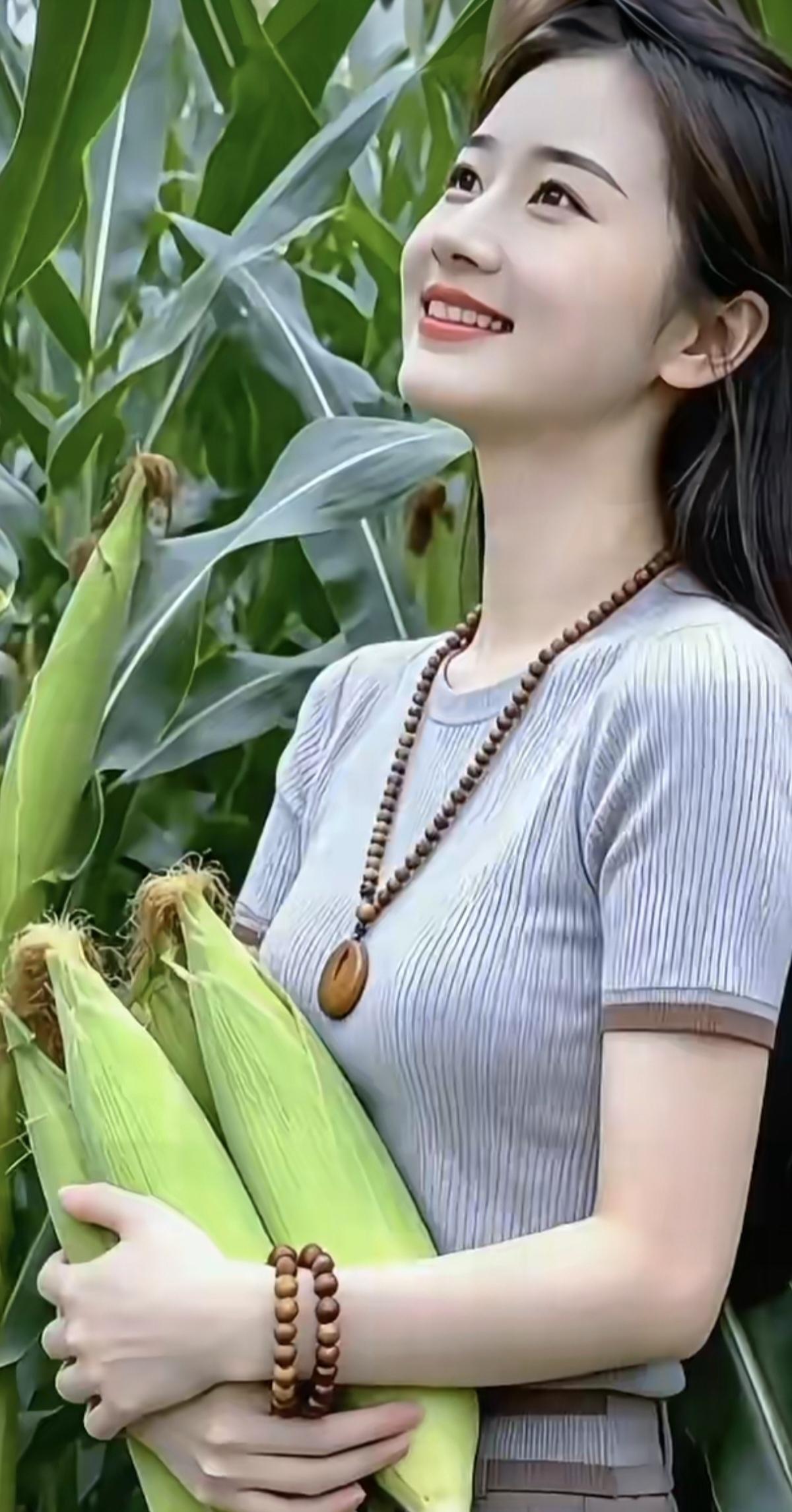 掰了几棒鲜玉米，明天送给俺闺蜜。礼物不在有多少，…………………………请你