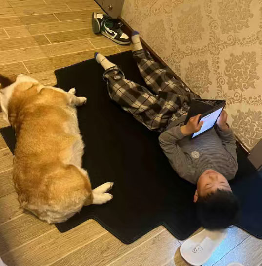 超7成养宠人愿意带毛孩子出行可以知道的就是，在这个快节奏的现代社会，越来越多的