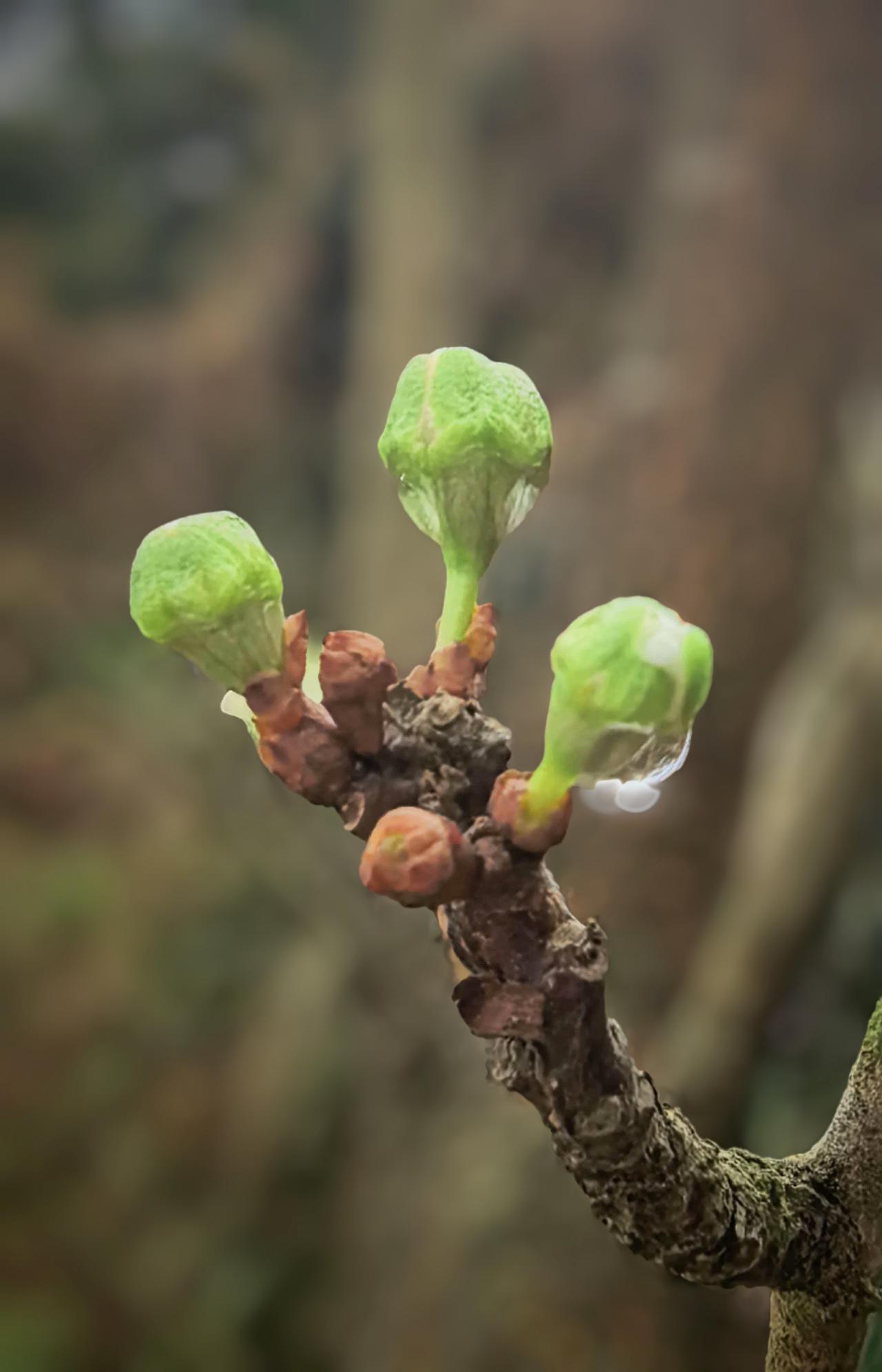 觉醒后，内在的丰盈，才是你人生的归宿！纵使一个人独行，也有自己的诗和远