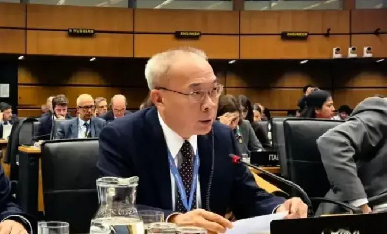 中国常驻国际原子能机构代表团突然宣布了，据媒体报道，在维也纳的理事会会上就日本长