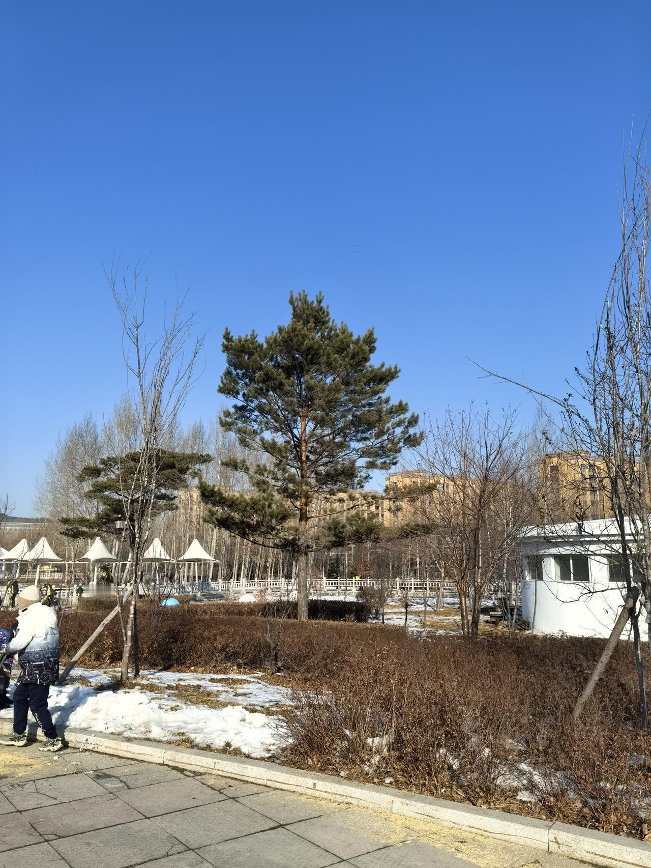 申请门诊慢特病需要提交什么材料?1三级医院住院以及门诊病历原件。2身份证原件