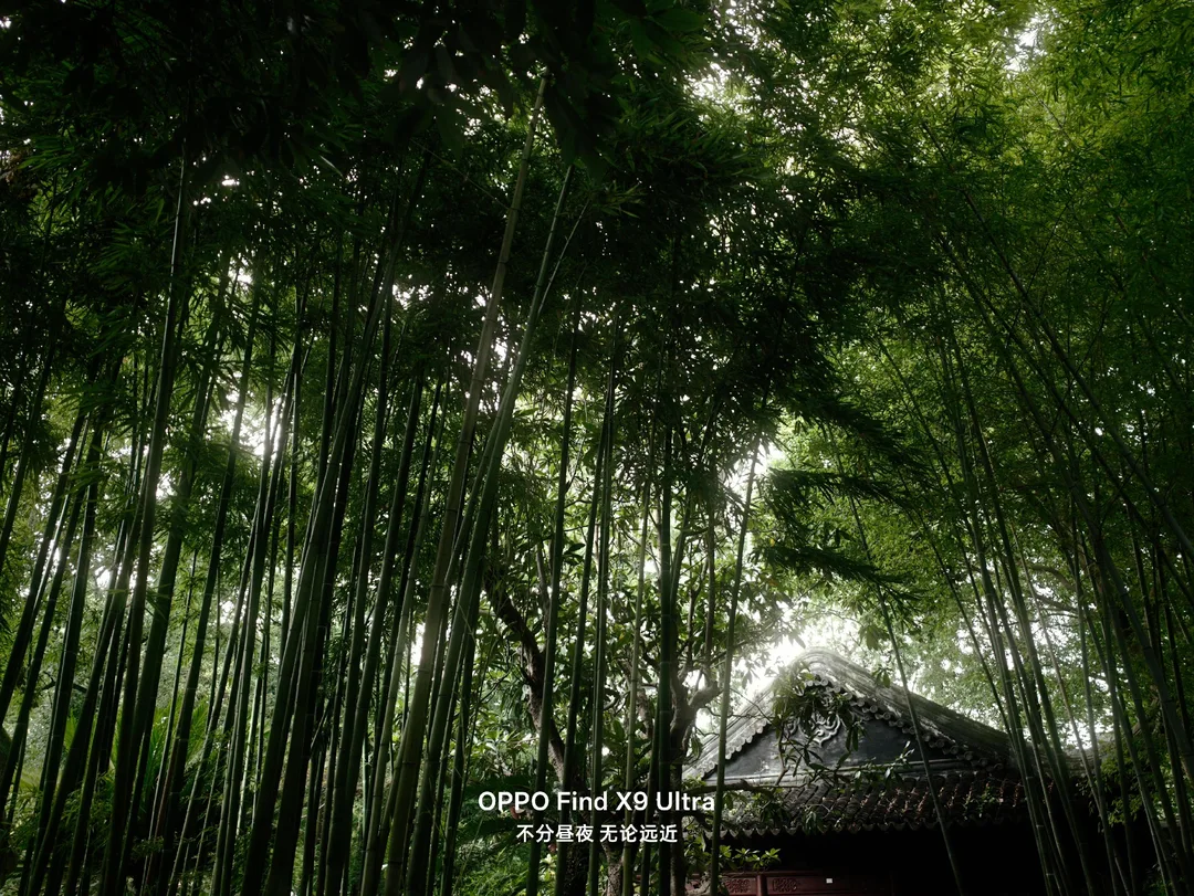 OPPO拍照｜这手机镜头拍的也太美了吧！