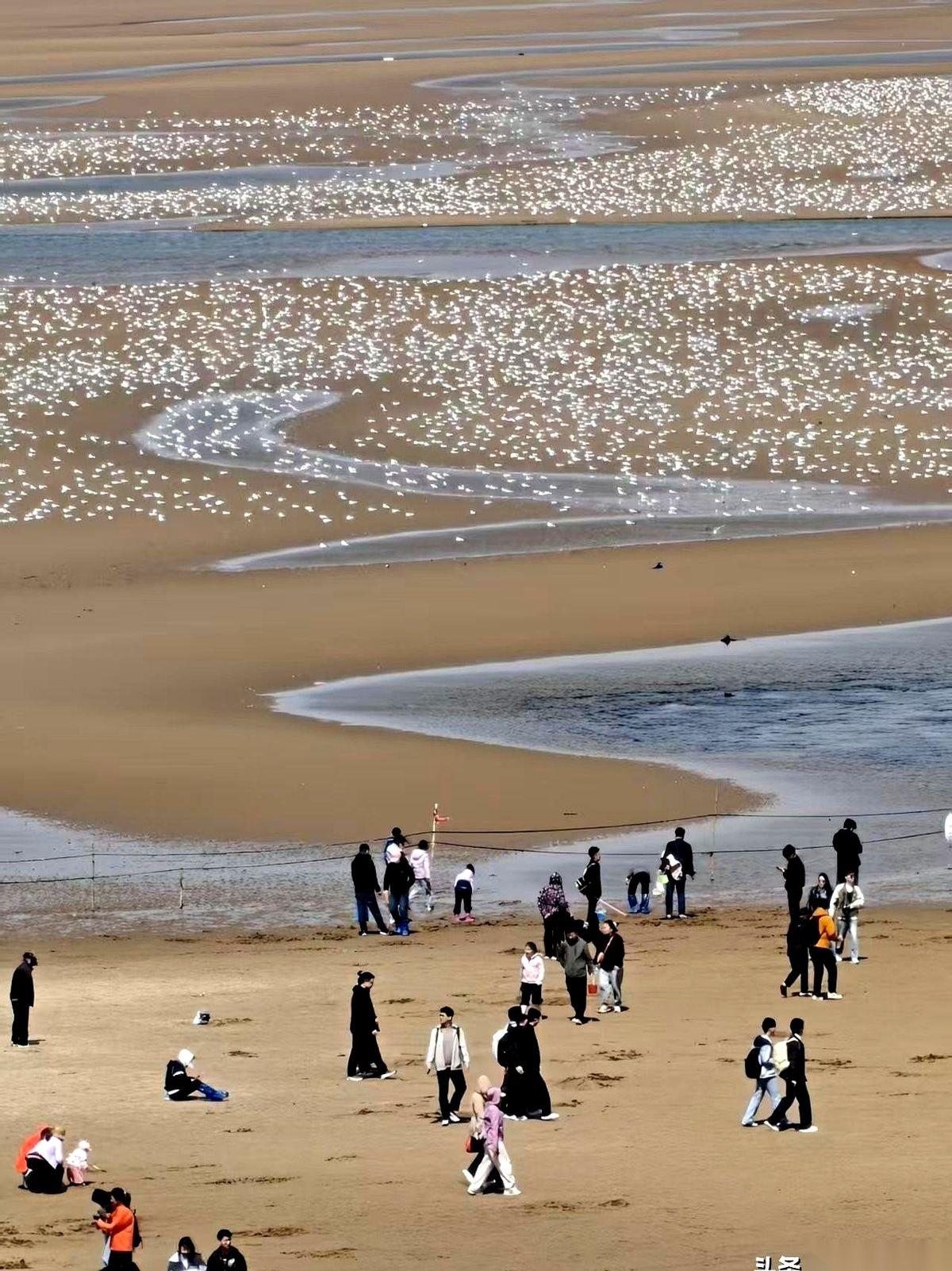 我小区有个阿姨，彻底让我明白，人老了，最怕的不是满头白发，而是跟自己较劲。她那