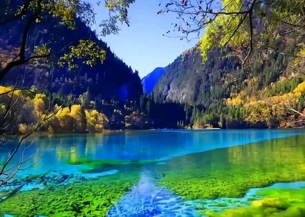 幽思无尽，书不尽别绪愁肠，流年似水，载不动执念满腔。余生向暖，为己奔