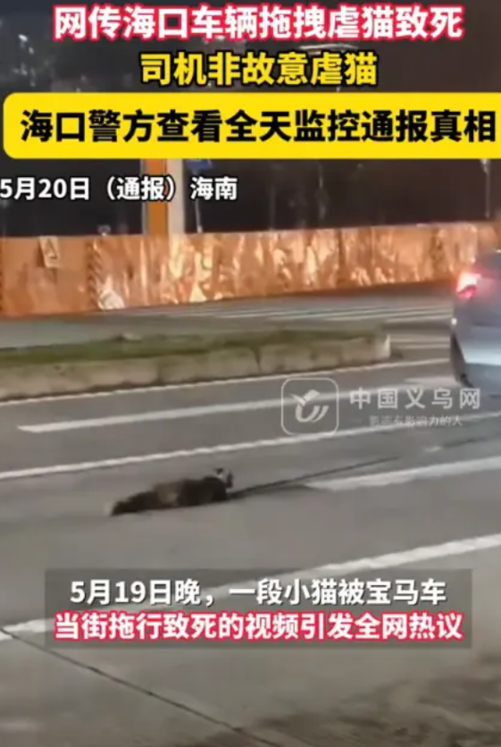 “真相大白！”5月20日，海口警方通报宝马车拖行小猫一事，原来只是一场意外，小猫