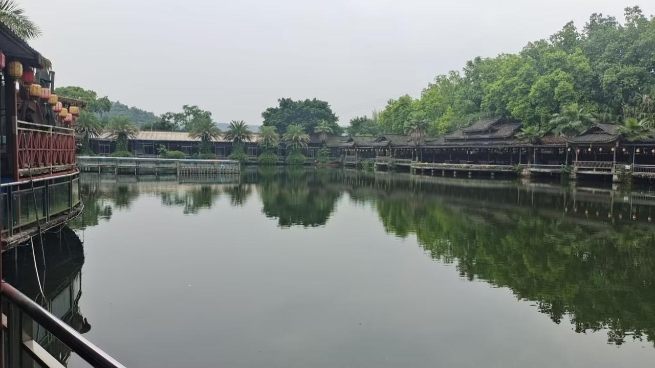 网上购买的花卉植物体验被骗今年从春节后春暖花开在网上购买花卉植物最多的在拼多多