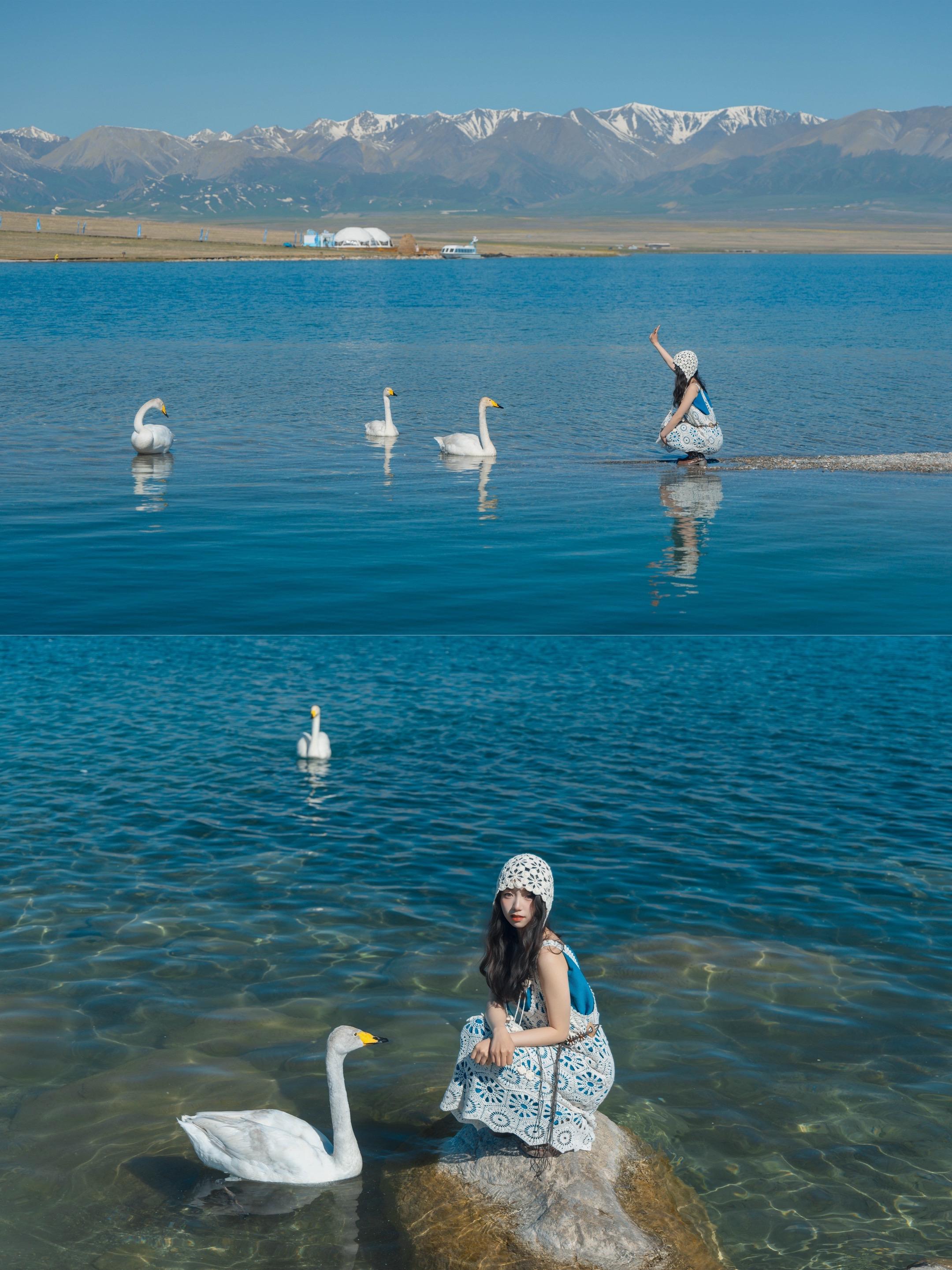 最详细赛里木湖天鹅拍摄攻略📷。📍定位：克勒涌珠 天鹅最集中的地方...