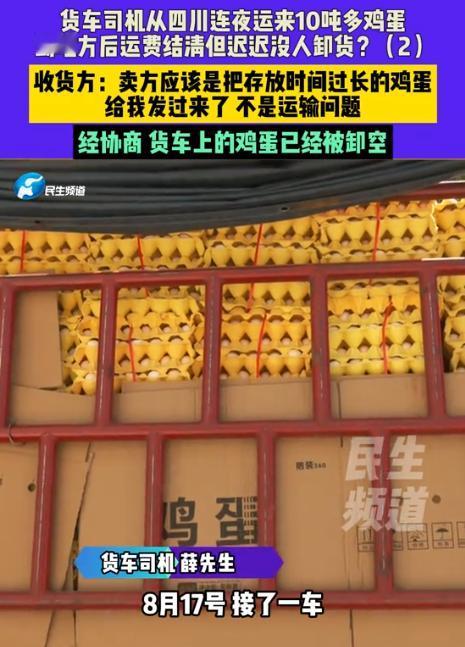 “想要甩锅？”河南郑州，一货车司机运了10吨鸡蛋，从四川运往河南，谁知抵达后，收