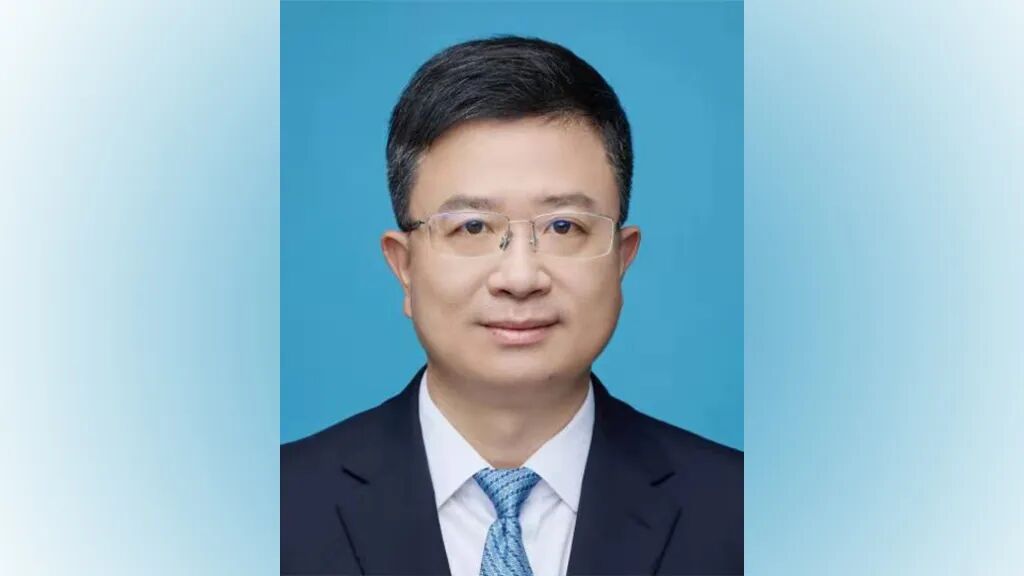 重庆市委常委罗蔺, 被查