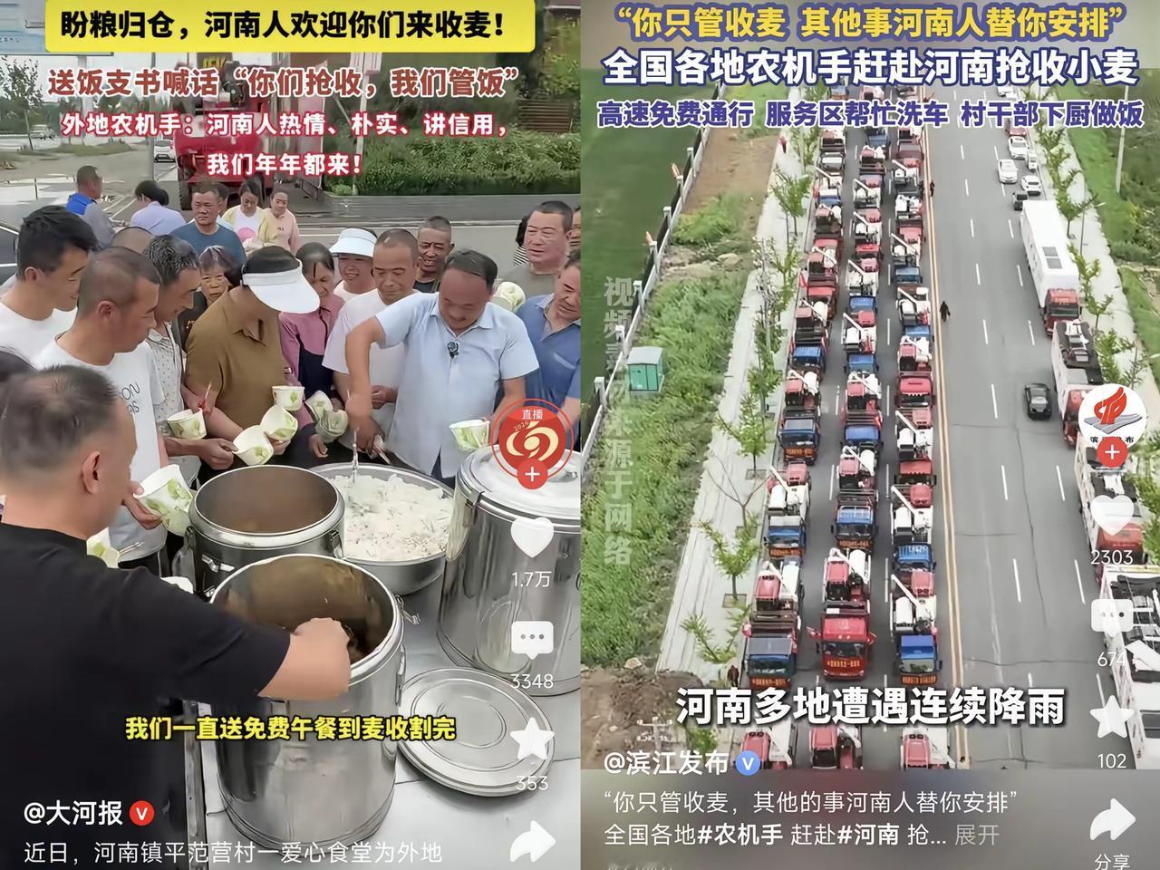 南阳襄阳相邻城，待人接物的差距却看呆众人！南阳把跨区来收麦的机手当亲人，免费热饭