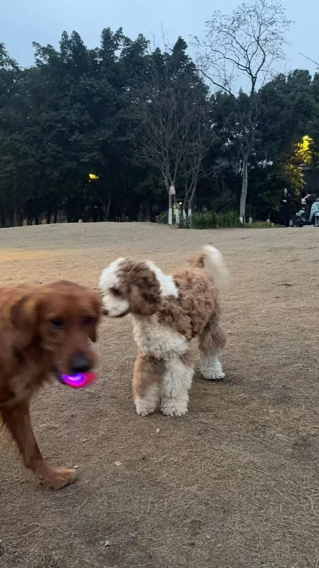 天塌了！我在上班啊😱！！！​​​